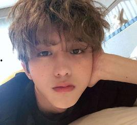 蔡小鸟最新爆料,揭秘娱乐圈惊人内幕